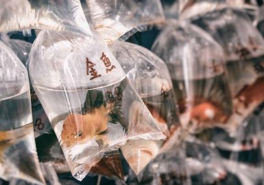 Tại sao bao bì nhựa vẫn thống lĩnh thị trường? 