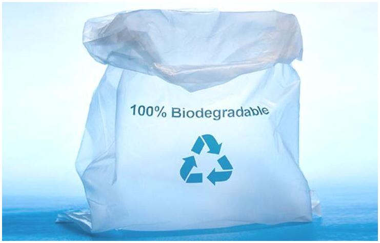 sử dụng túi nhựa phân hủy sinh học là một trong những biện pháp hữu hiệu để bảo vệ môi trường